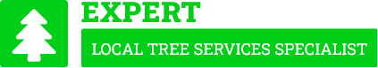 Hurstville Tree Services - Tree Removal Sydney